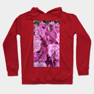 Pink flowers photo Hoodie